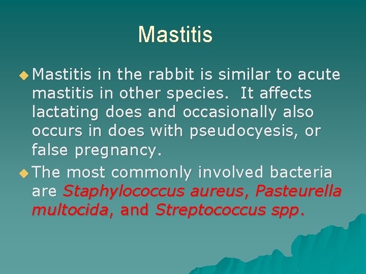 Mastitis ◆ Mastitis in the rabbit is similar to acute mastitis in other species.