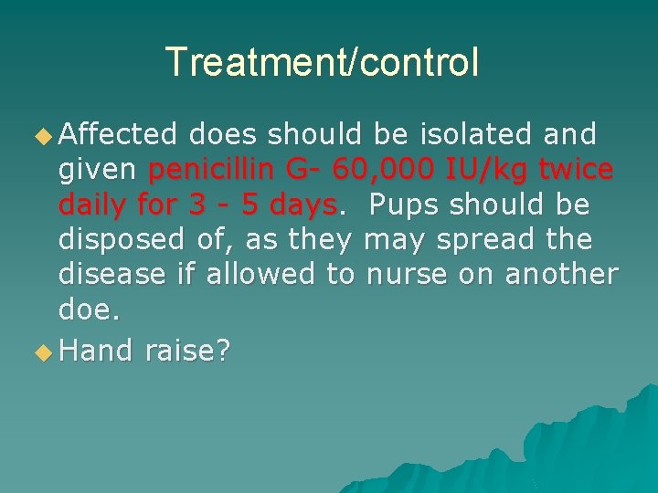 Treatment/control ◆ Affected does should be isolated and given penicillin G- 60, 000 IU/kg