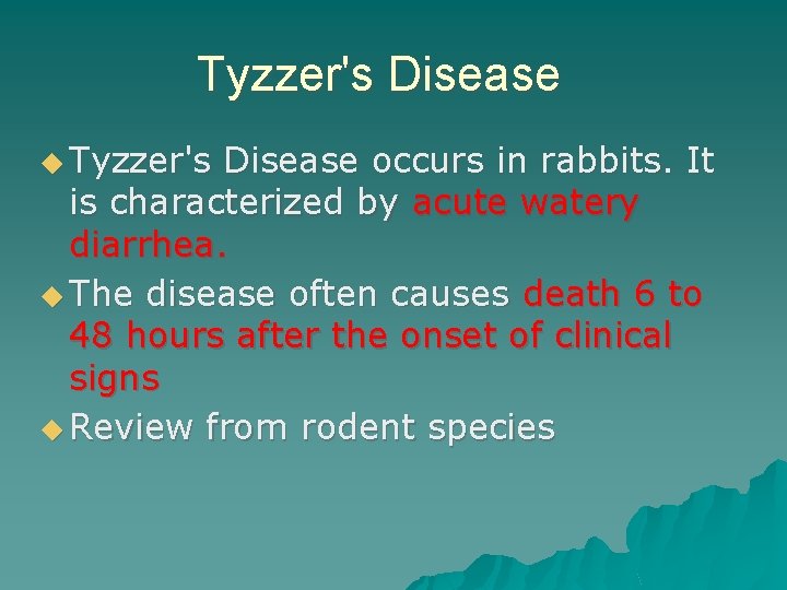 Tyzzer's Disease ◆ Tyzzer's Disease occurs in rabbits. It is characterized by acute watery