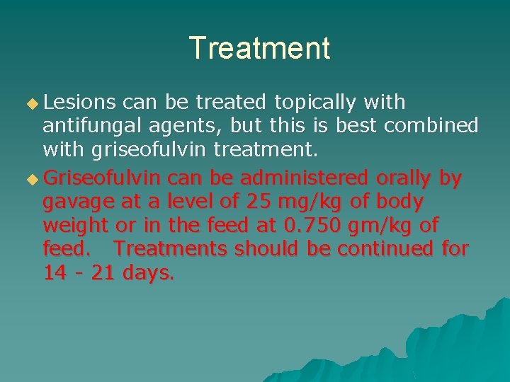 Treatment ◆ Lesions can be treated topically with antifungal agents, but this is best