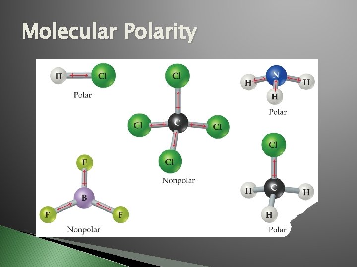 Molecular Polarity 