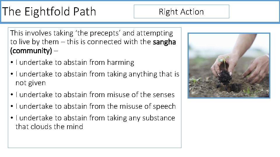The Eightfold Path Right Action This involves taking ‘the precepts’ and attempting to live