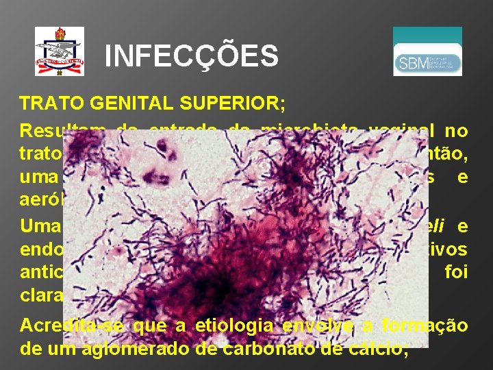 INFECÇÕES TRATO GENITAL SUPERIOR; Resultam da entrada da microbiota vaginal no trato superior. Os