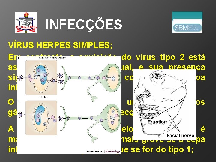 INFECÇÕES VÍRUS HERPES SIMPLES; Em contraste, a aquisição do vírus tipo 2 está associada