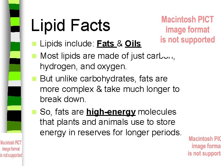 Lipid Facts Lipids include: Fats & Oils n Most lipids are made of just