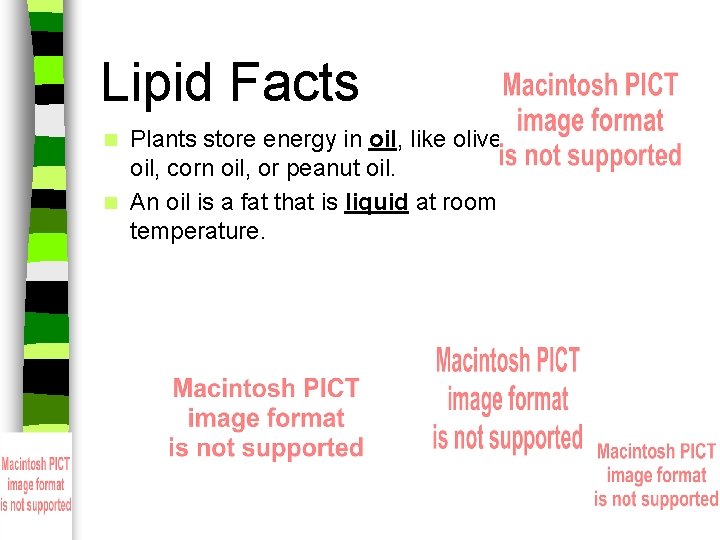 Lipid Facts Plants store energy in oil, like olive oil, corn oil, or peanut