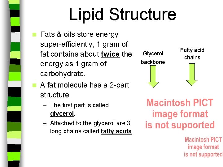 Lipid Structure n n Fats & oils store energy super-efficiently, 1 gram of fat