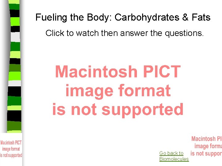 Fueling the Body: Carbohydrates & Fats Click to watch then answer the questions. Go