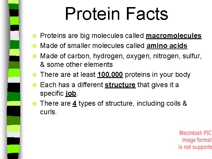 Protein Facts n n n Proteins are big molecules called macromolecules Made of smaller