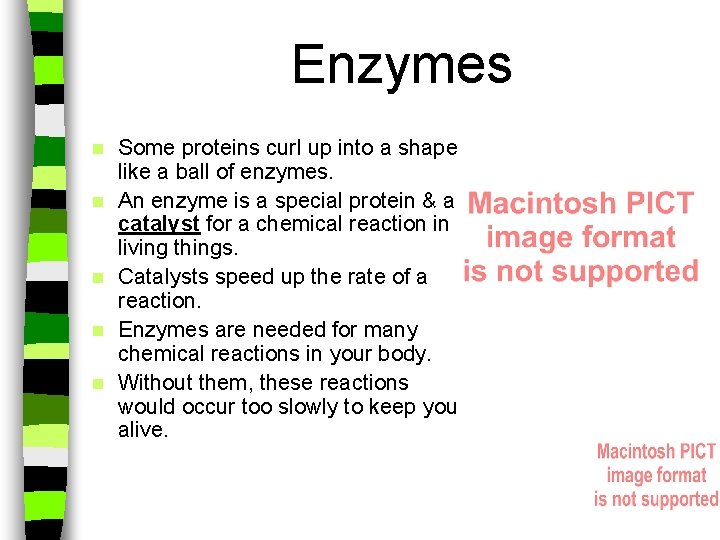 Enzymes n n n Some proteins curl up into a shape like a ball