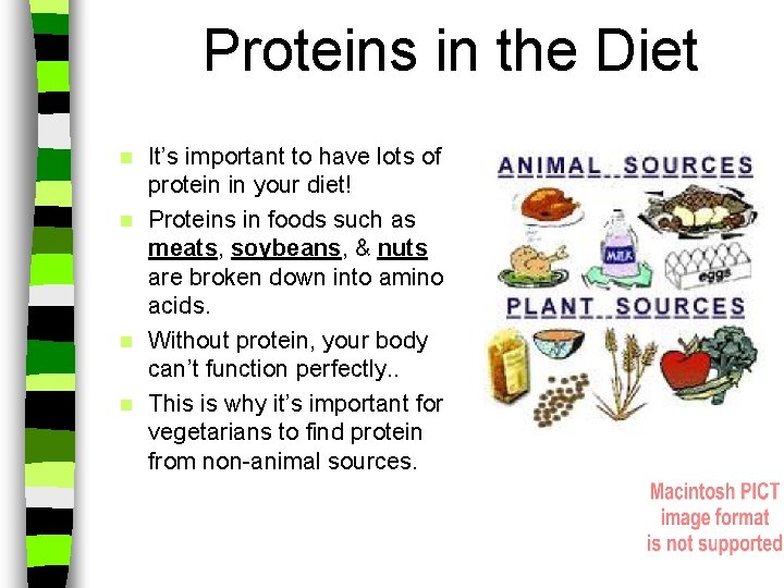Proteins in the Diet It’s important to have lots of protein in your diet!