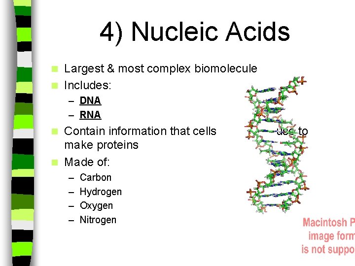 4) Nucleic Acids Largest & most complex biomolecule n Includes: n – DNA –