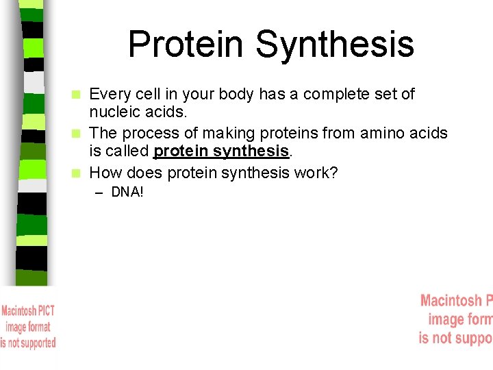 Protein Synthesis Every cell in your body has a complete set of nucleic acids.