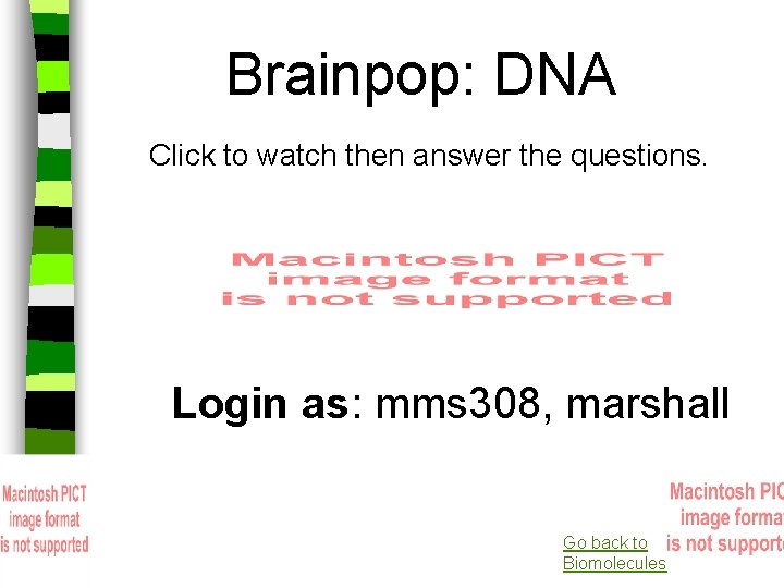 Brainpop: DNA Click to watch then answer the questions. Login as: mms 308, marshall