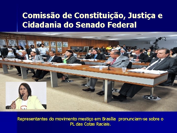 Comissão de Constituição, Justiça e Cidadania do Senado Federal Representantes do movimento mestiço em