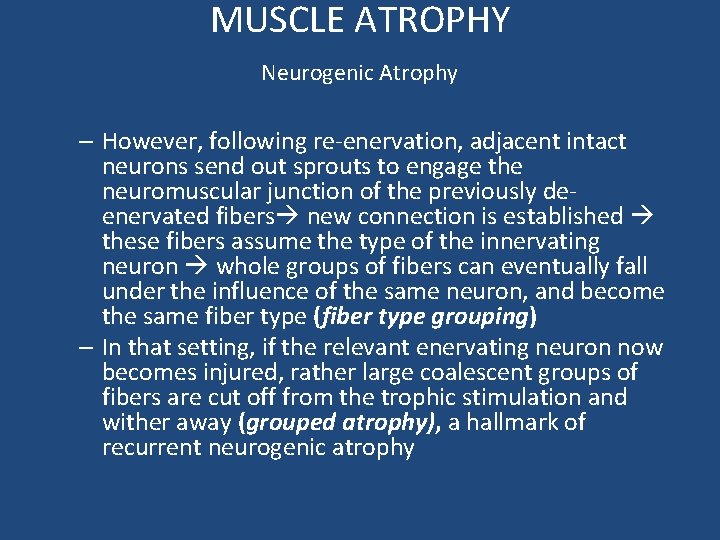 MUSCLE ATROPHY Neurogenic Atrophy – However, following re-enervation, adjacent intact neurons send out sprouts