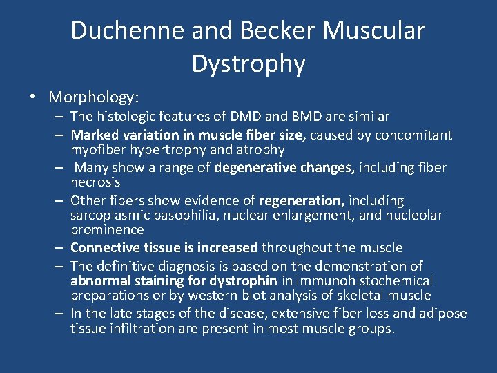 Duchenne and Becker Muscular Dystrophy • Morphology: – The histologic features of DMD and