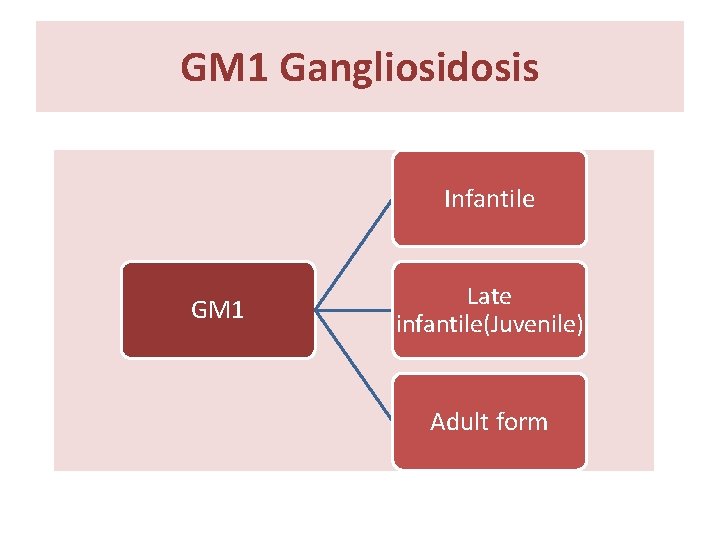 GM 1 Gangliosidosis Infantile GM 1 Late infantile(Juvenile) Adult form 