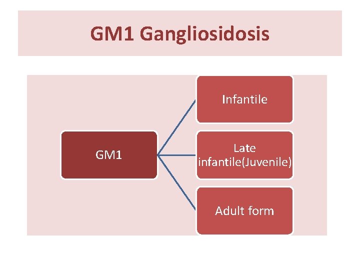 GM 1 Gangliosidosis Infantile GM 1 Late infantile(Juvenile) Adult form GM 1 Gangliosidosis Infantile GM 1 Late infantile(Juvenile) Adult form