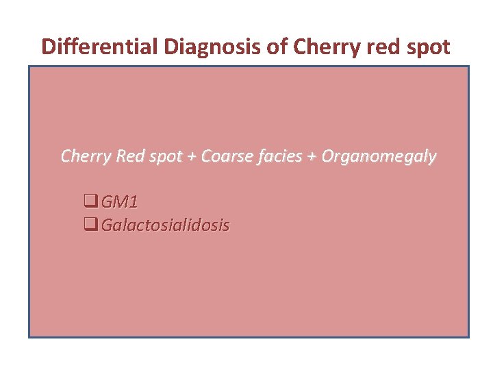 Differential Diagnosis of Cherry red spot q Sialidosis (Type. I) + Organomegaly q Farber Differential Diagnosis of Cherry red spot q Sialidosis (Type. I) + Organomegaly q Farber
