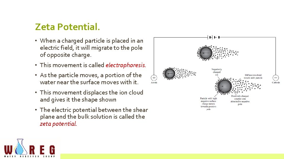 Zeta Potential. • When a charged particle is placed in an electric field, it