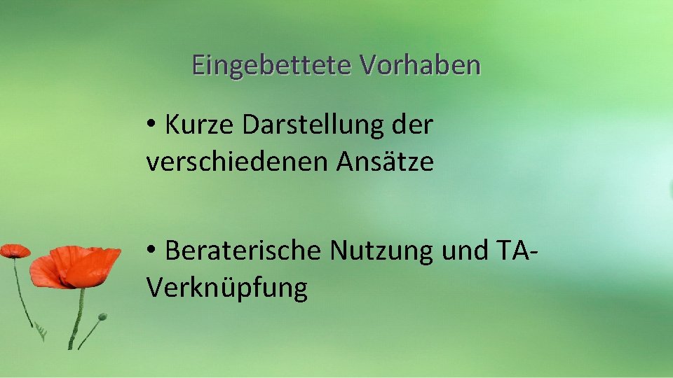 Eingebettete Vorhaben • Kurze Darstellung der verschiedenen Ansätze • Beraterische Nutzung und TAVerknüpfung 