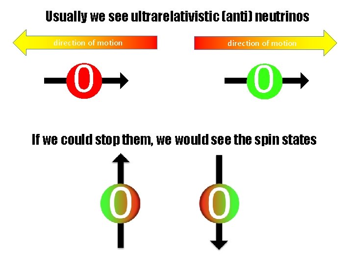 Usually we see ultrarelativistic (anti) neutrinos direction of motion 0 If we could stop