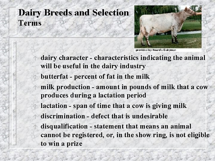 Dairy Breeds and Selection Terms á á á dairy character - characteristics indicating the
