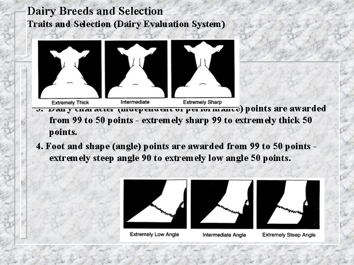 Dairy Breeds and Selection Traits and Selection (Dairy Evaluation System) 3. Dairy character (independent
