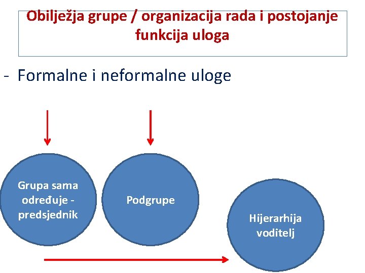 Obilježja grupe / organizacija rada i postojanje funkcija uloga - Formalne i neformalne uloge