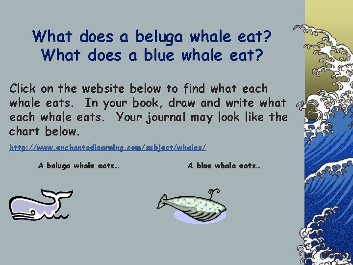 What does a beluga whale eat? What does a blue whale eat? Click on