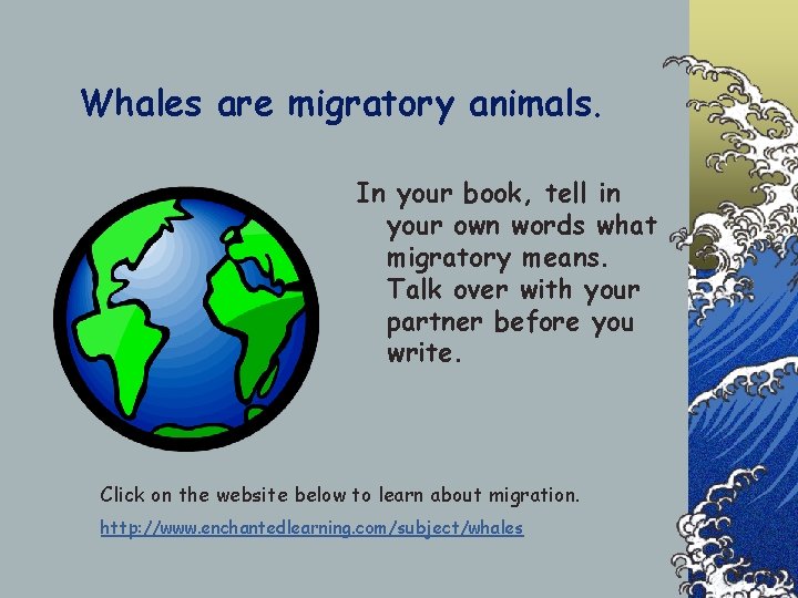 Whales are migratory animals. In your book, tell in your own words what migratory