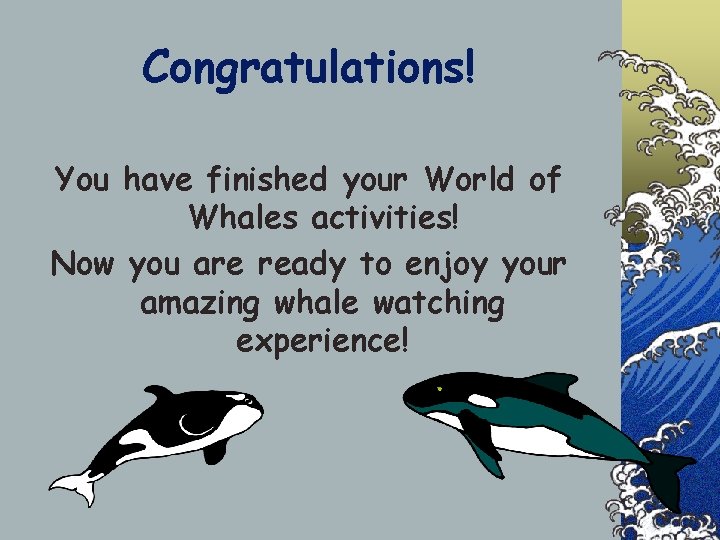 Congratulations! You have finished your World of Whales activities! Now you are ready to