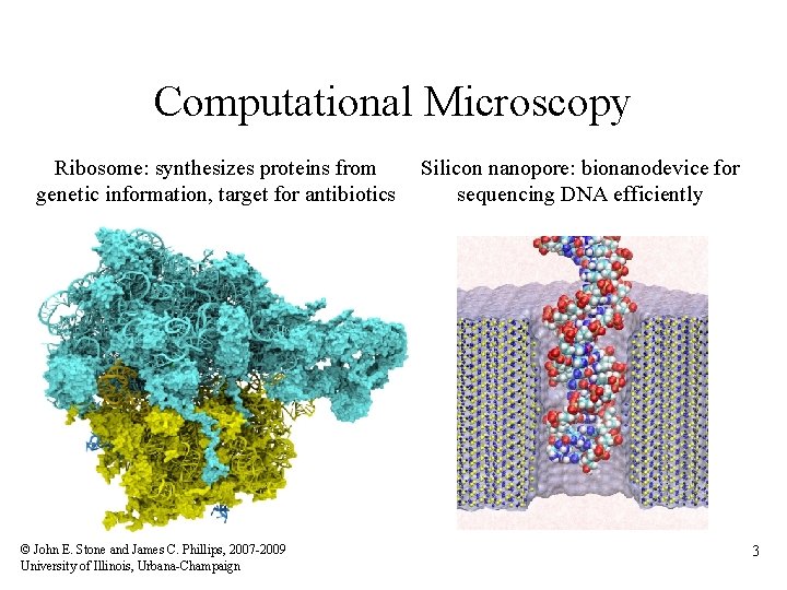 Computational Microscopy Ribosome: synthesizes proteins from genetic information, target for antibiotics © John E.