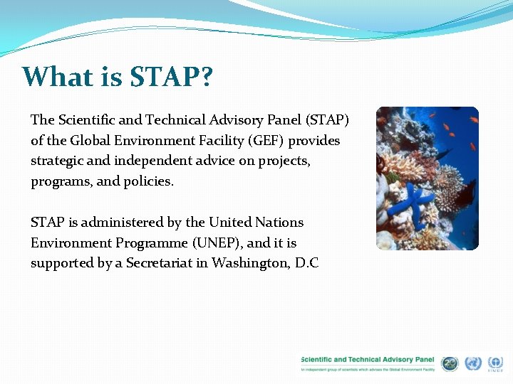 What is STAP? The Scientific and Technical Advisory Panel (STAP) of the Global Environment