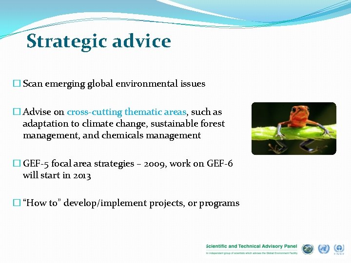 Strategic advice � Scan emerging global environmental issues � Advise on cross-cutting thematic areas,