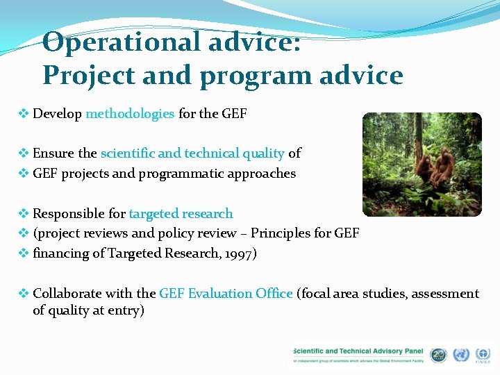 Operational advice: Project and program advice v Develop methodologies for the GEF v Ensure