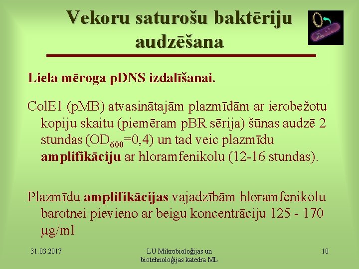 Vekoru saturošu baktēriju audzēšana Liela mēroga p. DNS izdalīšanai. Col. E 1 (p. MB)