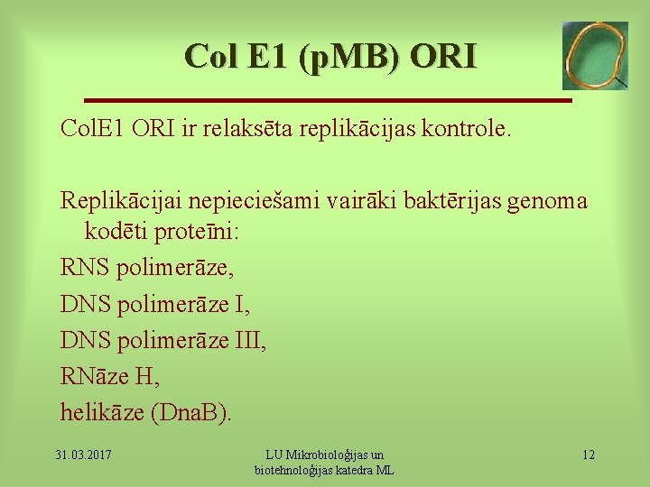 Col E 1 (p. MB) ORI Col. E 1 ORI ir relaksēta replikācijas kontrole.