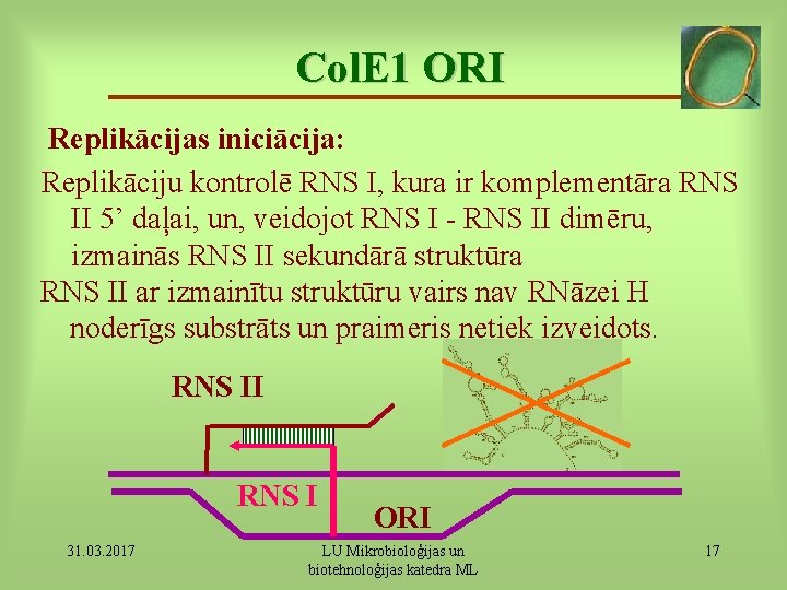 Col. E 1 ORI Replikācijas iniciācija: Replikāciju kontrolē RNS I, kura ir komplementāra RNS