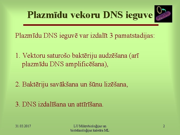 Plazmīdu vekoru DNS ieguve Plazmīdu DNS ieguvē var izdalīt 3 pamatstadijas: 1. Vektoru saturošo
