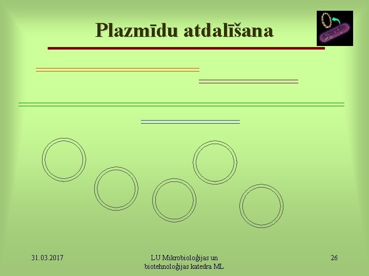 Plazmīdu atdalīšana 31. 03. 2017 LU Mikrobioloģijas un biotehnoloģijas katedra ML 26 