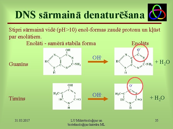 DNS sārmainā denaturēšana Stipri sārmainā vidē (p. H>10) enol-formas zaudē protonu un kļūst par