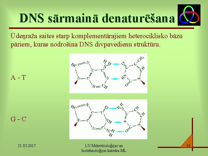 DNS sārmainā denaturēšana Ūdeņraža saites starp komplementārajiem heterociklisko bāzu pāriem, kuras nodrošina DNS divpavedienu