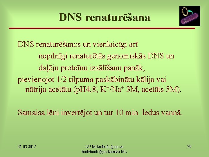 DNS renaturēšana DNS renaturēšanos un vienlaicīgi arī nepilnīgi renaturētās genomiskās DNS un daļēju proteīnu