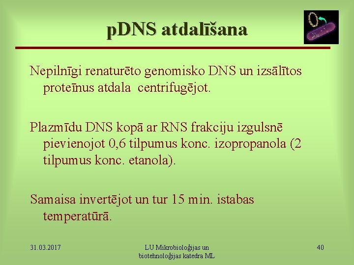 p. DNS atdalīšana Nepilnīgi renaturēto genomisko DNS un izsālītos proteīnus atdala centrifugējot. Plazmīdu DNS