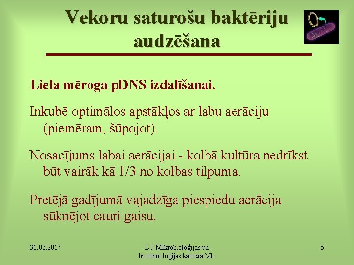 Vekoru saturošu baktēriju audzēšana Liela mēroga p. DNS izdalīšanai. Inkubē optimālos apstākļos ar labu