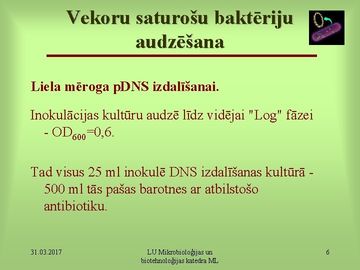 Vekoru saturošu baktēriju audzēšana Liela mēroga p. DNS izdalīšanai. Inokulācijas kultūru audzē līdz vidējai
