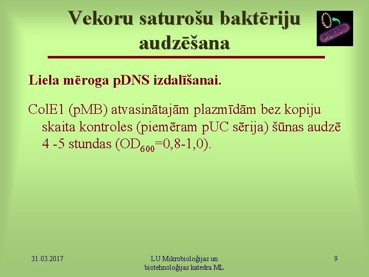 Vekoru saturošu baktēriju audzēšana Liela mēroga p. DNS izdalīšanai. Col. E 1 (p. MB)