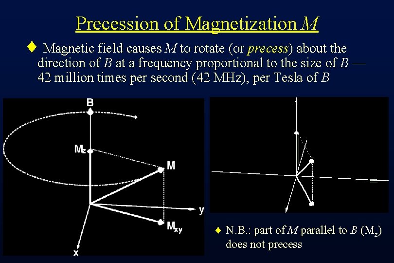 Precession of Magnetization M ¨ Magnetic field causes M to rotate (or precess) about